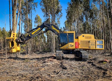 tigercat feller buncher shop